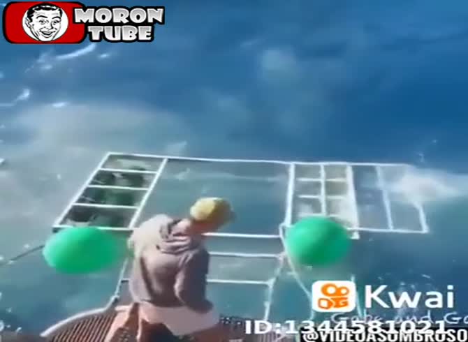 Video :How could this shark have gotten inside this cage